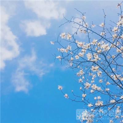 龙血战神360手游下载