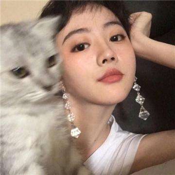巫术纸牌破解版下载